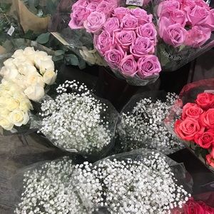 Meet your Posher, Nila